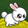 Cute Bunny Jungle Races