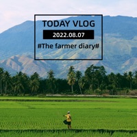 The farmer diary