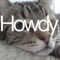 Howdy Cat!