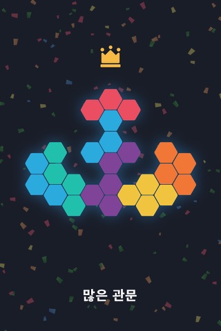 Block Hexa· Puzzle screenshot 2