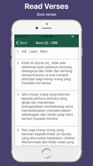 Malay Quran and Easy Search(圖4)-速報App