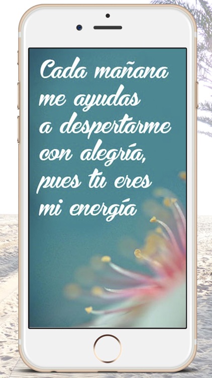 Good Morning messages in Spanish - Premium screenshot-3