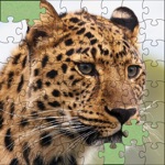 Jigsaw puzzles - Jigsaw