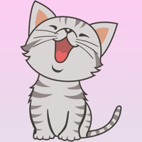 Confused Cat diary PC 용