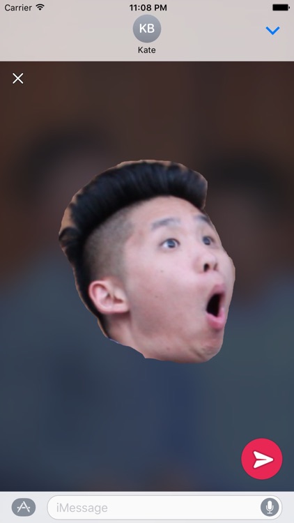 Doodlecrop - Make Your Own Stickers!