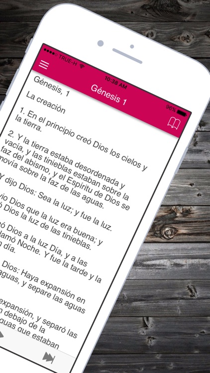 Santa Biblia Reina Valera 1960 Gratis en Español