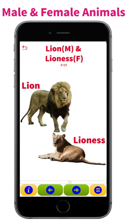 Animals & Animal Sounds Kids Toddlers Zoo App US-F screenshot-4