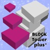 Block Tower Plus