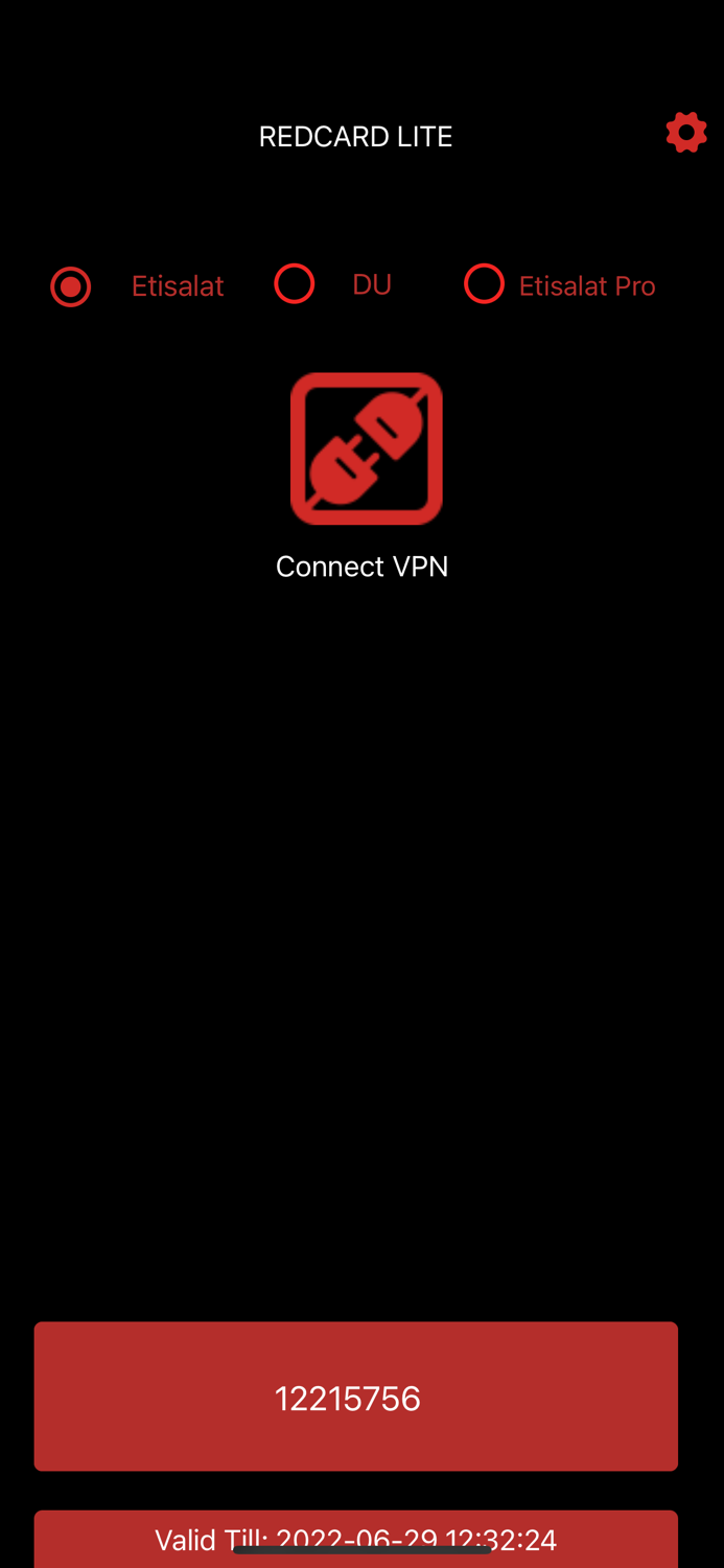 RedCard Lite VPN