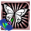 Draw and Color Butterfly For Toodle