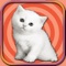 Icon Adorable Kitten Run – Pet Simulation game 2017