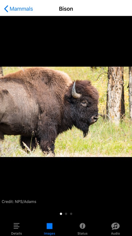 Yellowstone NP Field Guide screenshot-3