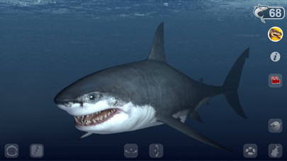 How to cancel & delete Talking Great White : My Pet Shark from iphone & ipad 1