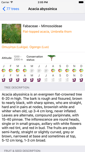 Uganda Trees(圖2)-速報App