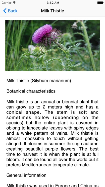 Aromatic Plants Of Greece