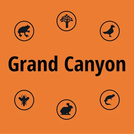 Grand Canyon NP Field Guide Cheats