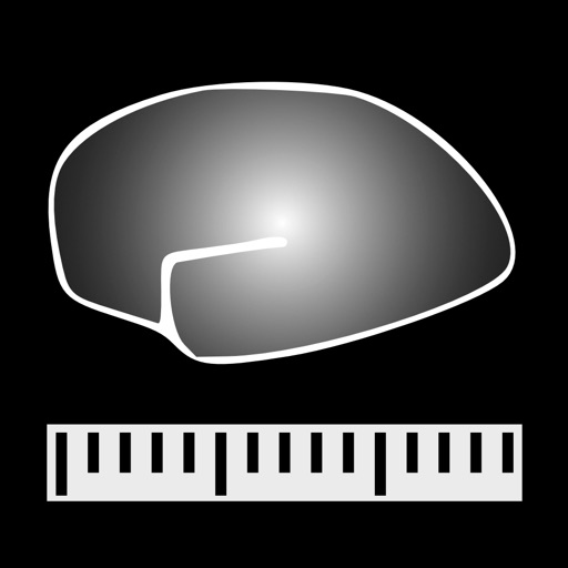 CABPad Neuropsychological Test