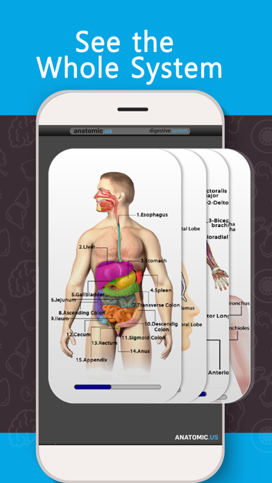 Anatomy Game Anatomicus Screenshot 2