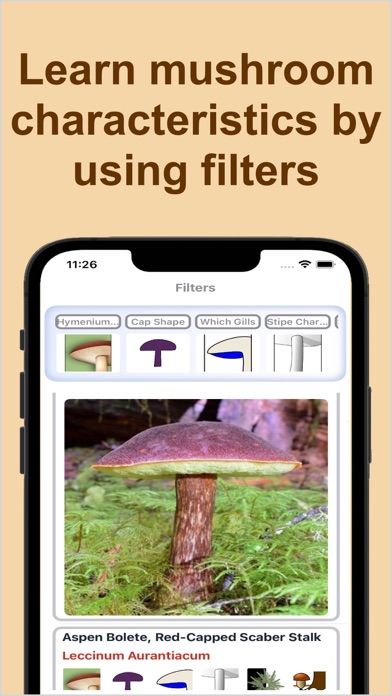 Forest Mushroom Identification screenshot 4