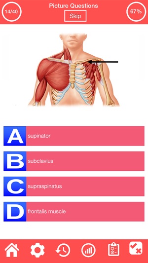 Human Muscular System Quiz(圖2)-速報App