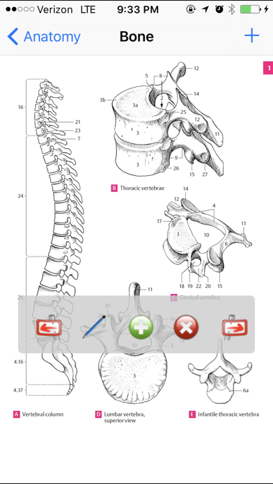 Anatomy Atlas screenshot1