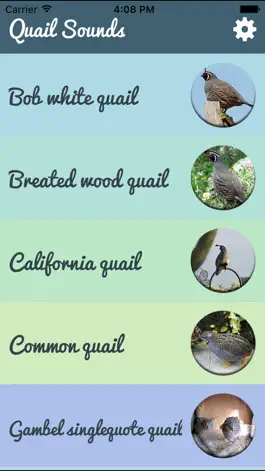 Game screenshot Quail Sound – California, Jungle Bush, Bob White apk