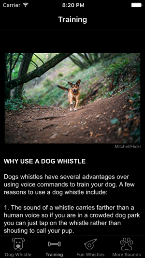 Dog Whistle & Training - Free Sound Trainer App(圖2)-速報App