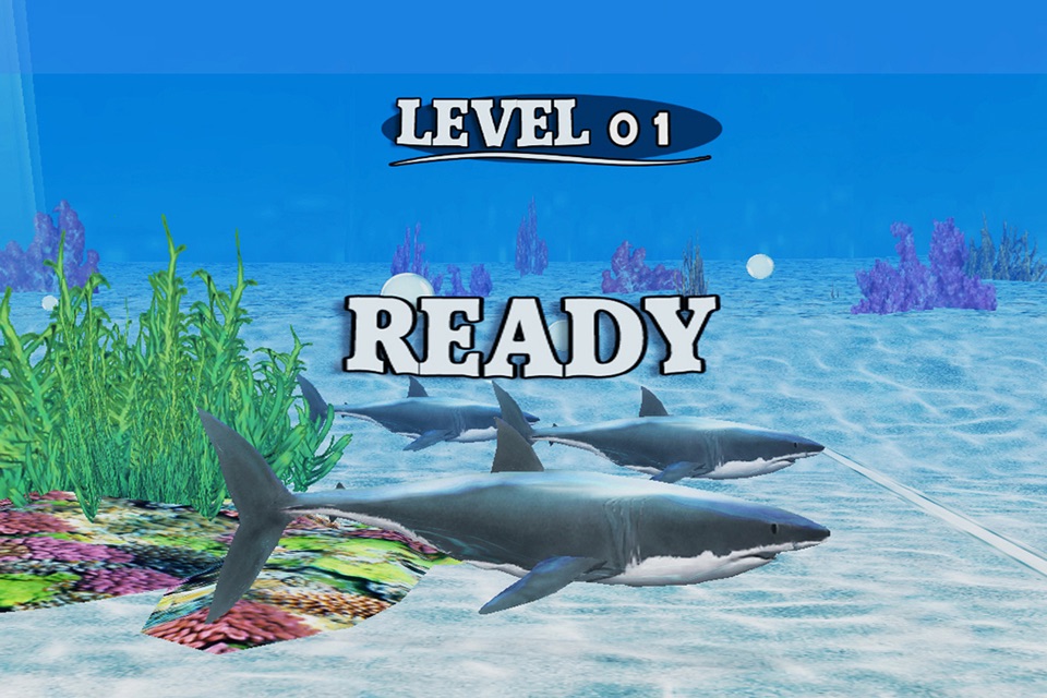 Fish Race Version screenshot 3