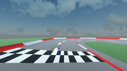 Racecar Driver screenshot 3
