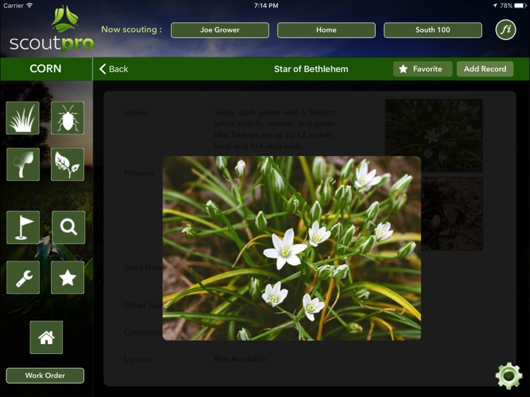 ScoutPro screenshot-4