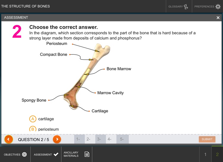The Structure and Functions of Bones screenshot-4
