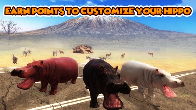 Hippo Wild Life Quest Simulator screenshot-3