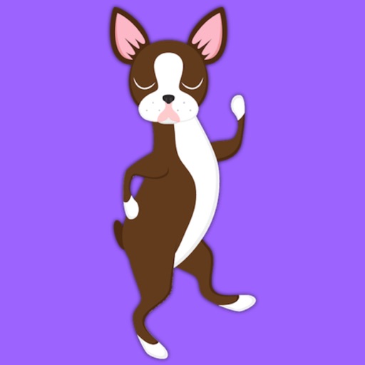 Boston Terrier Shuffle Chocolate iOS App