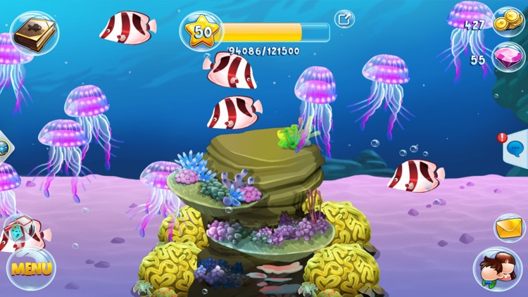 Fish Paradise - Aquarium Farm