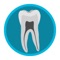 Dental Corpus TOOTH ANATOMY is an interactive tool for dental students and health professionals