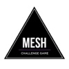 Mesh Challenge