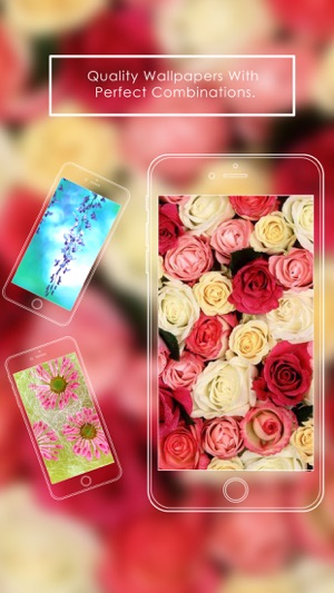 Pink Flowers HD WallPapers & Background Free(圖1)-速報App