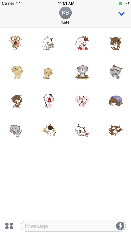 Animated Stary Cat Stickers For iMessage screenshot-4