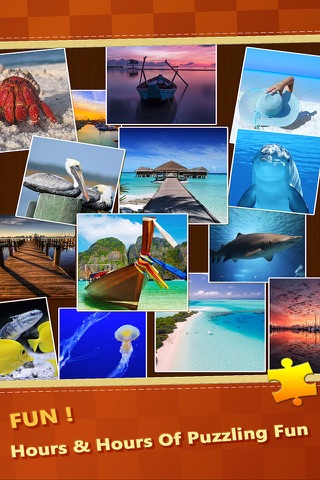 Puzzle Ocean - Kids Jigsaw Puzzles Sliding Game screenshot 4