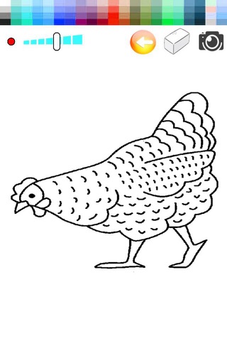 Chicken Hen Zoo-Coloring Book Drawing for kids screenshot 2