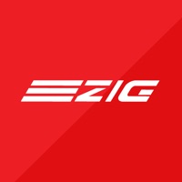 ZIG Smart
