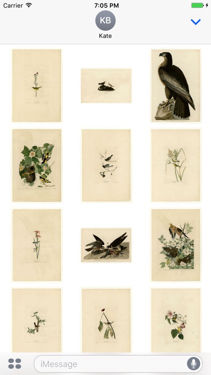 Audubon Artworks Stickers