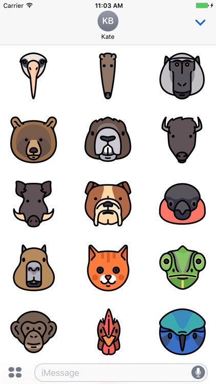 Animal Face Stickers