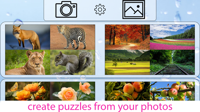 Jigsaw Puzzle fans Pro(圖1)-速報App