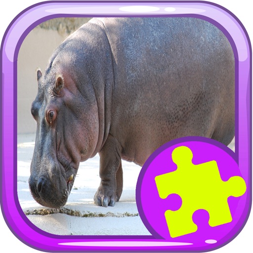 Jigsaw Puzzles Hippopotamus Learning Version