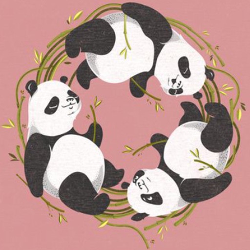 Panda HD Wallpapers and Backgrounds Icon