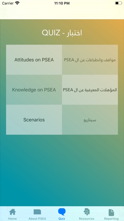 PSEA Lebanon