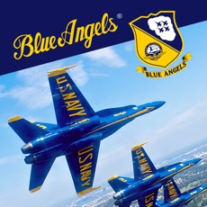 Activities of Blue Angels: Aerobatic Flight Simulator