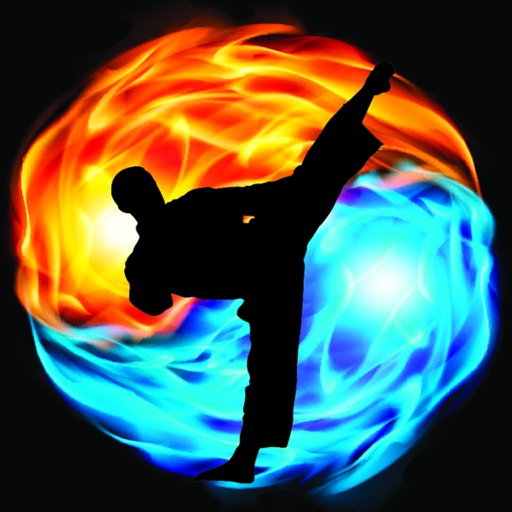 Taekwondo Martial Art HD Wallpapers Icon