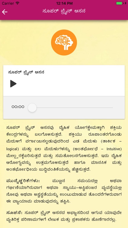 YPV Sadhana - kannada screenshot-4